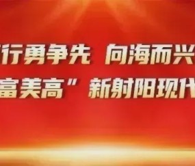 开云官方-射阳VS城投 这波花式整活海报！真的不一样呐